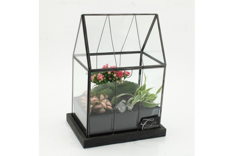Arrangementen kamerplanten ESCR-2629RZ Essentials terrarium 3 pp 