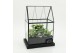 Arrangementen kamerplanten ESCR-2629W Essentials terrarium 3 pp 