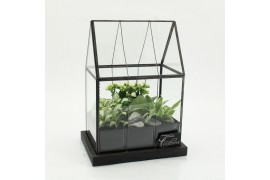 Arrangementen kamerplanten ESCR-2629W Essentials terrarium 3 pp
