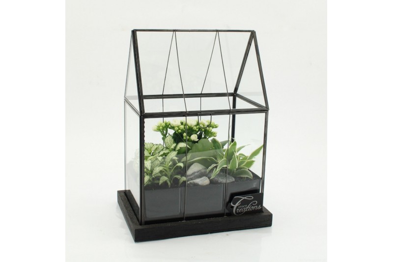 Arrangementen kamerplanten ESCR-2629W Essentials terrarium 3 pp 