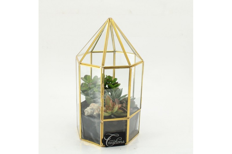 Arrangementen succulenten SUCR-2609 Succulent Essentials terrarium 2 p 
