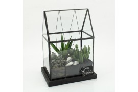 Arrangementen succulenten SUCR-2610 Succulent Essentials terrarium 3 p