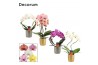Phalaenopsis mix Phalaenopsis vormen mix 2 tak in Gabriël (Deco-collec