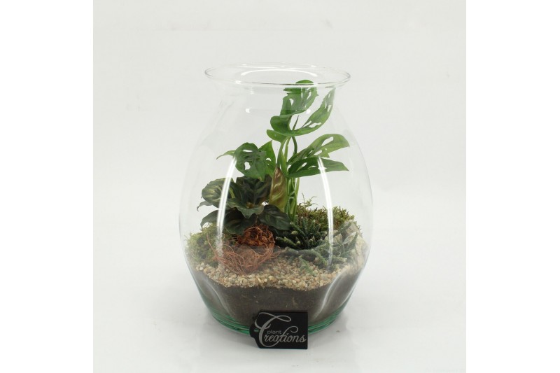 Arrangementen kamerplanten GRCR-2608 Green Essentials terrarium 3 pp 