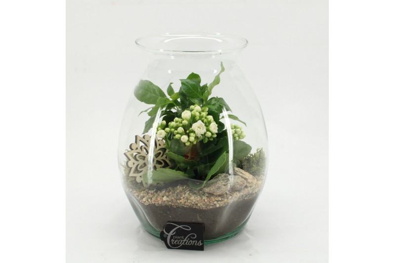 Arrangementen kamerplanten ESCR-2628W Essentials 2 pp 