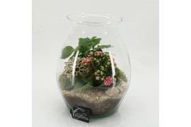 Arrangementen kamerplanten ESCR-2628RZ Essentials 2 pp