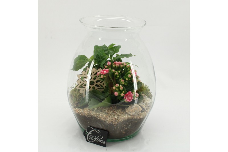 Arrangementen kamerplanten ESCR-2628RZ Essentials 2 pp 