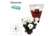 Chrysant breeze white indicum Chrysanne® Margarita White3 pp 