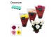 Chrysanthemum ind. breeze mix Chrysanne® Margarita Mix3 pp 