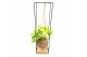 Kamerplanten mix groen Kokodama 15 cm Industrial Eden collection Hangi 