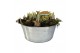 Arrangementen narcissus Zink groot rond met houten oren 15 pp 