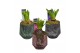 Arrangementen hyacinthus Hyacint Glas 3 kleuren HL13080 [LOVELY COLORS 