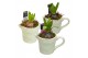 Arrangementen hyacinthus Hyacint Little Jug HL11333 [PURE] 1 pp 1 per  