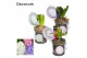 Arrangementen hyacinthus Hyacint Weckpotje HL13040 [LOVELY COLORS] 1 p 