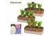 Arrangementen hyacinthus Hyacint Wooden Box HL11623 [PURE] 3 pp 90 bl. 