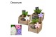 Arrangementen hyacinthus Hyacint Wooden Drawer HL10753 [PURE] 3 pp 75  