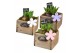 Arrangementen hyacinthus Hyacint Wooden Drawer HL10753 [PURE] 3 pp 75  