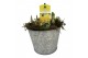 Arrangementen tete a tete Zink pot Tete a Tete naturel 5 pp 90 bl. pot 