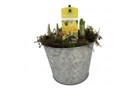 Arrangementen tete a tete Zink pot Tete a Tete naturel 5 pp 90 bl. pot