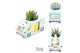 Arrangementen succulenten WOW Succulent, Mug and bunny1 pp 