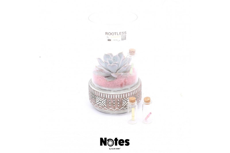 Arrangementen succulenten ROOTLESS Echeveria mix, Deer pot and glass p 