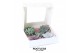 Arrangementen succulenten ROOTLESS Echeveria 5x 7-10 cm DIY box5 pp 