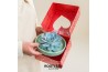 Arrangementen succulenten ROOTLESS Echeveria, Octopus bowl - love box1