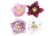Helleborus orientalis Helleborus orientalis mix P155 bl. 