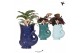 Calathea mix Kolibri Greens Calathea mix in Fish pot blue mix1 pp 