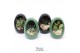Arrangementen succulenten TRULY Succulent, Egg Colour mix gold1 pp 