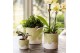 Keramische pot Kolibri Home Bloom pot sand mix 