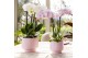 Keramische pot Kolibri Home Scandic pot pink 