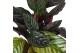 Calathea Calathea Ornata p17 