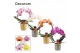 Phalaenopsis mix Phalaenopsis boog mix in Gabriël (Deco-collection) 14 