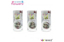 Hippeastrum gewaxt No Water Flowers® Craftz - Santa & Friends in Koker