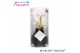 Hippeastrum gewaxt No Water Flowers Velvet Touchz® Black in koker2 tak 