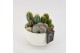 Arrangementen cactus CTCR-2625 Cactus Essentials 3 pp 