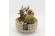 Arrangementen cactus CTCR-2619 Cactus Essentials 3 pp 