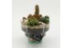 Arrangementen cactus CTCR-2633 Cactus Essentials 3 pp 