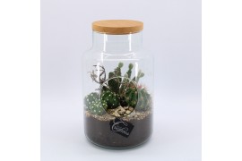Arrangementen cactus CTCR-2634 Cactus Essentials Terrarium 3 pp