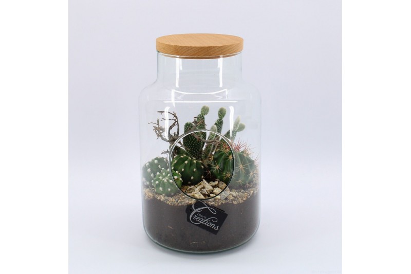 Arrangementen cactus CTCR-2634 Cactus Essentials Terrarium 3 pp 