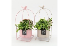 Arrangementen kamerplanten ESCR-2606M Essentials 3 pp