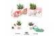 Arrangementen succulenten WOW Succulent, X-Mas mug and bear + mug and  