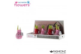 Hippeastrum gewaxt No Water Flowers® Fashionz With Love2 tak/plnt