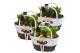 Arrangementen hyacinthus Hyacint Mand Gereedschap HL14683 [PURE] 6 pp  
