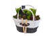 Arrangementen hyacinthus Hyacint Mand Gereedschap HL14683 [PURE] 6 pp  