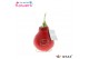 Hippeastrum gewaxt No Water Flowers Waxz® Message Printz Love2 tak/pln 