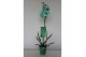 Phalaenopsis Wonder Green 1 tak9 bl. 1 tak/plnt 