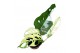Monstera Monstera Adansonii var 1 pp 