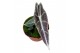 Alocasia Alocasia Longiloba Purple 1 pp 